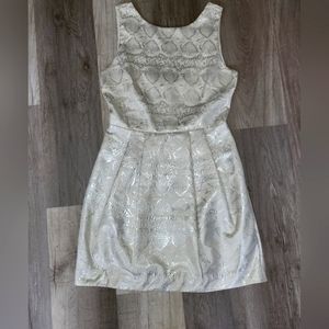 Zara Cream & Silver Dress